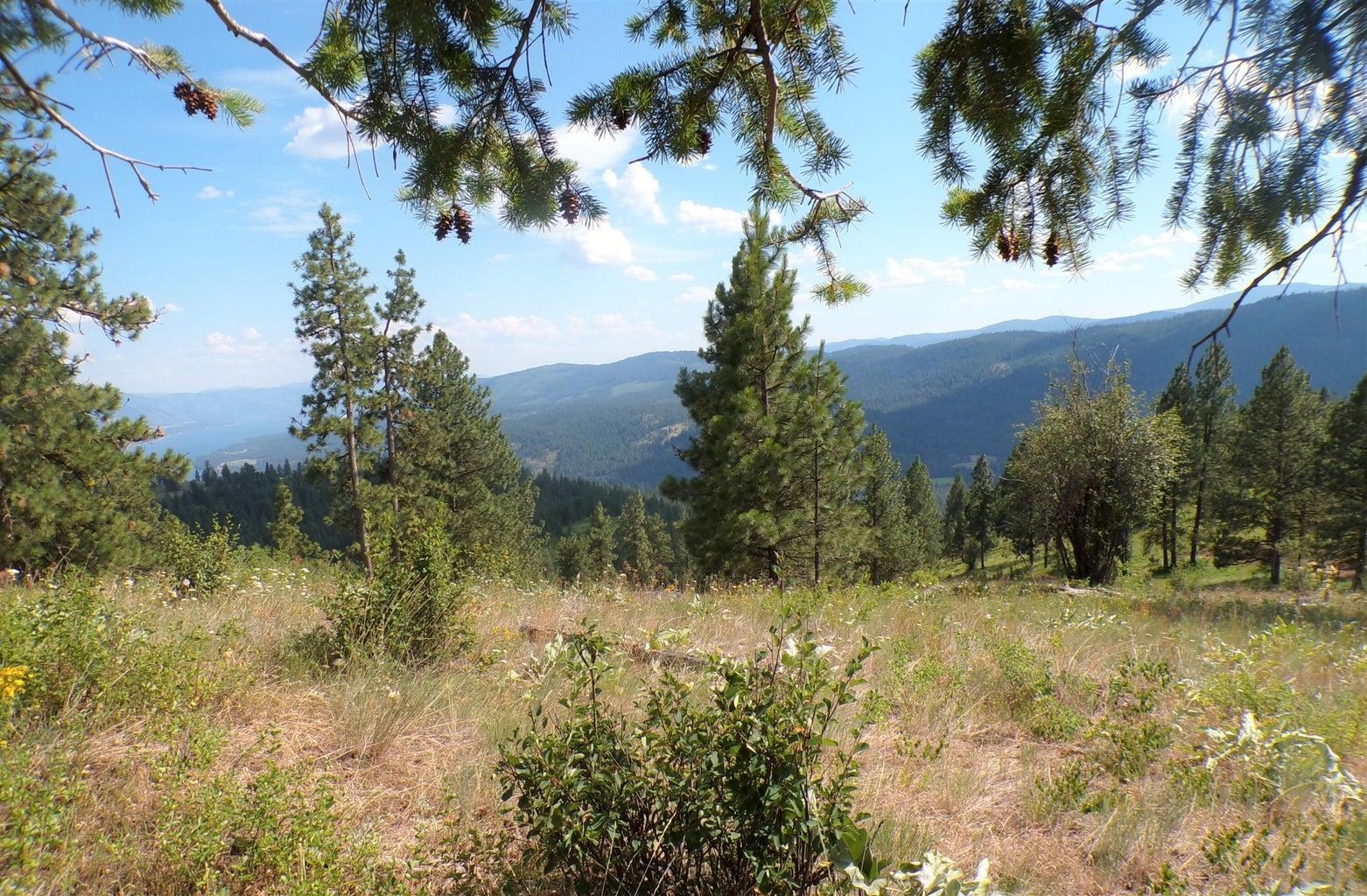 #L Morning Star Ln - Photo 9