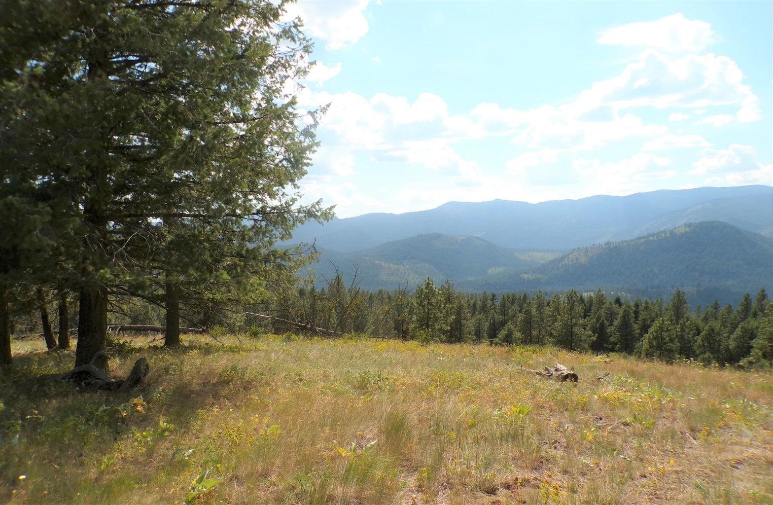 #L Morning Star Ln - Photo 10