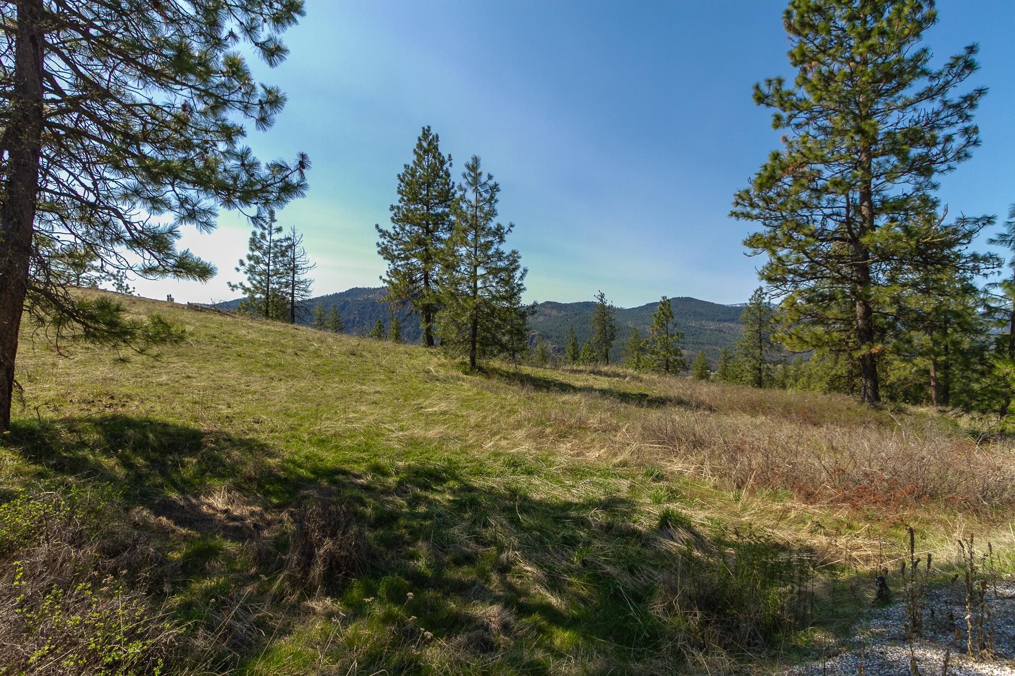 1622 Palmer Loop - Photo 1