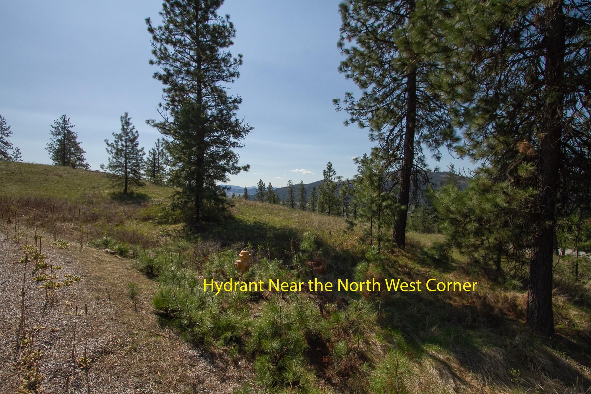1622 Palmer Loop - Photo 2