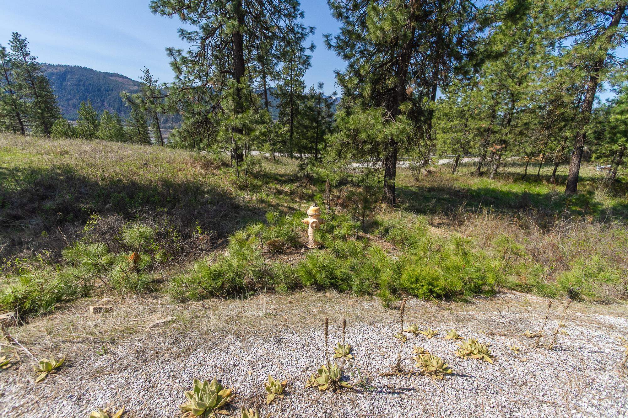 1622 Palmer Loop - Photo 13