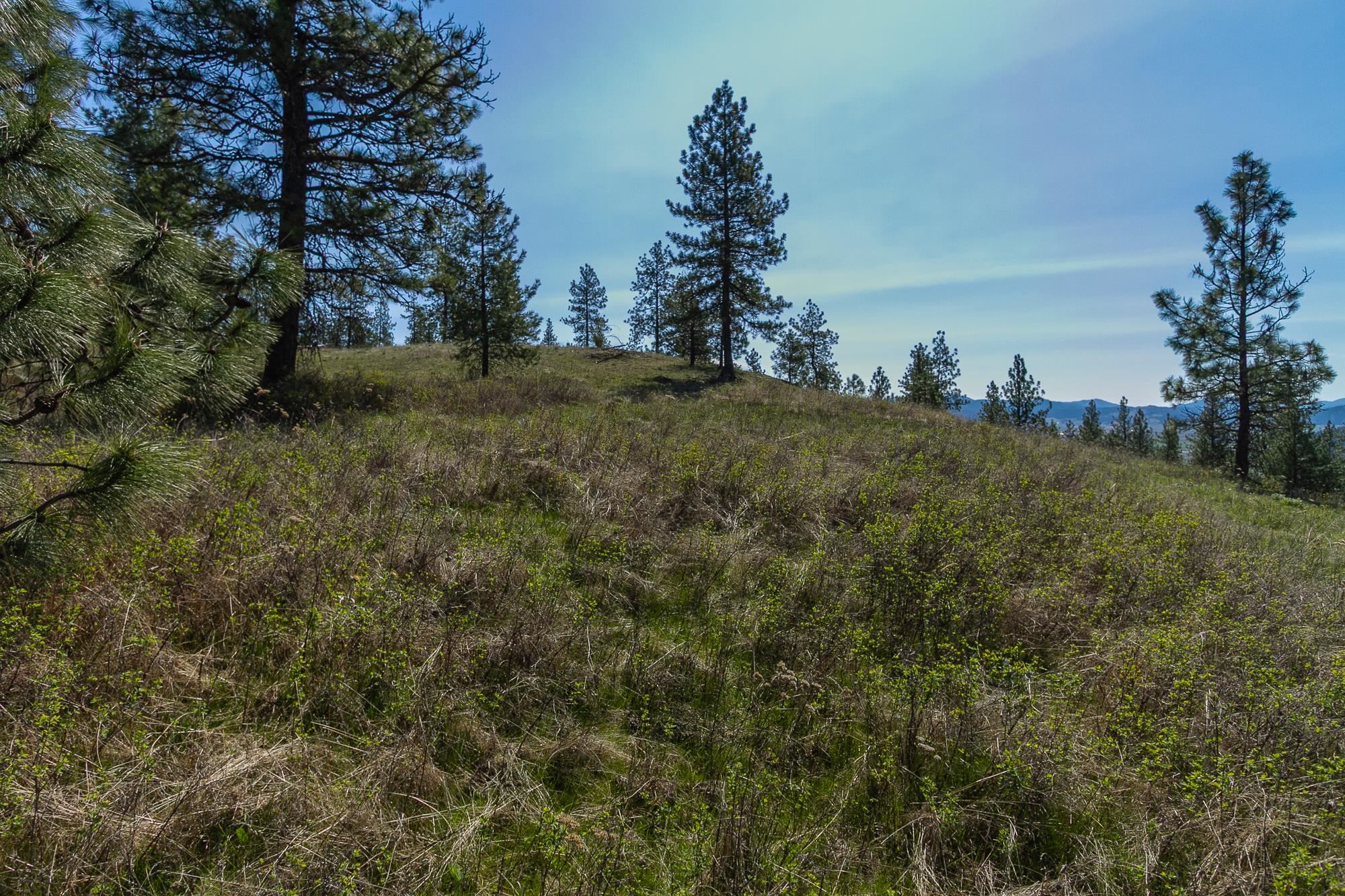 1622 Palmer Loop - Photo 3