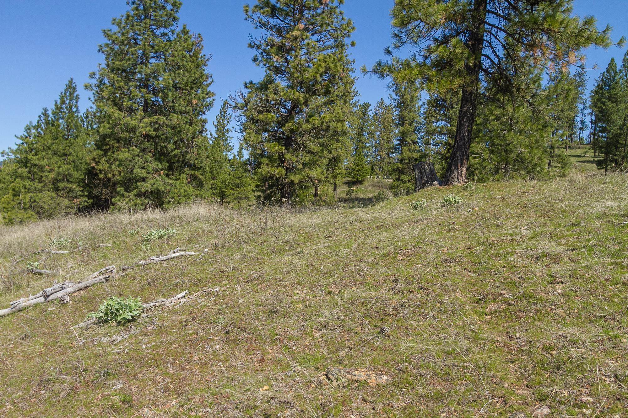 1622 Palmer Loop - Photo 7