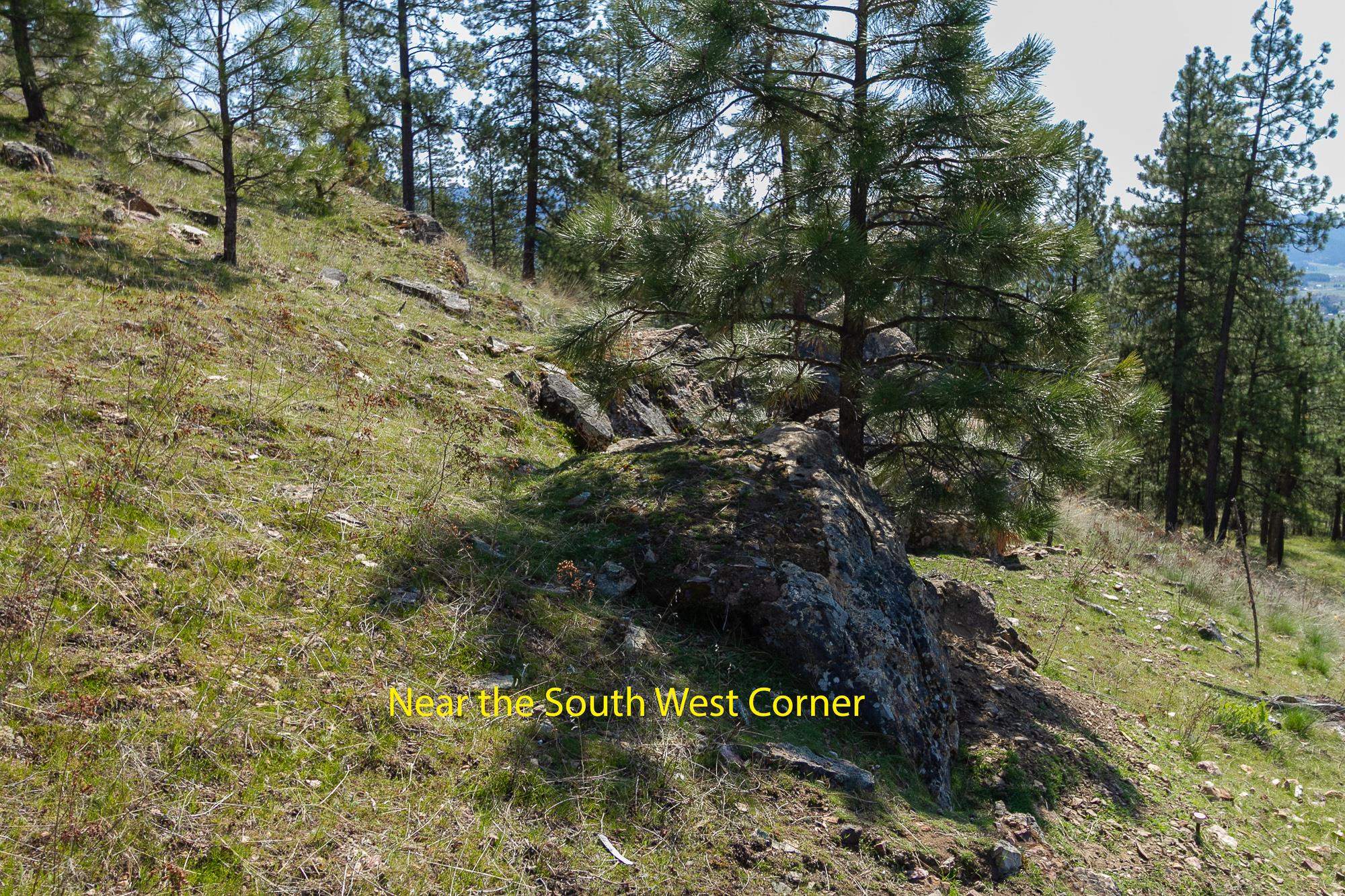 1622 Palmer Loop - Photo 8