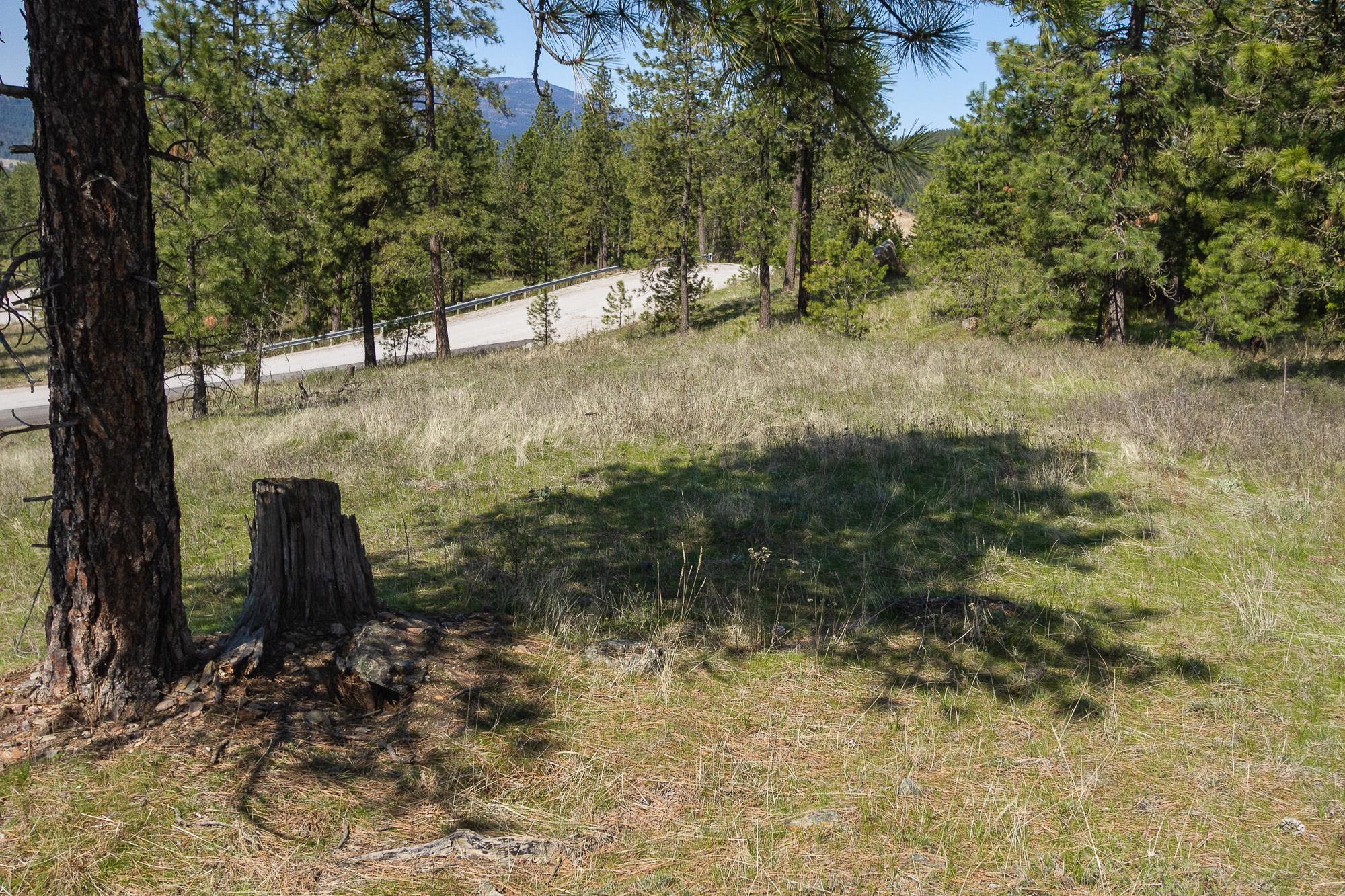 1622 Palmer Loop - Photo 9