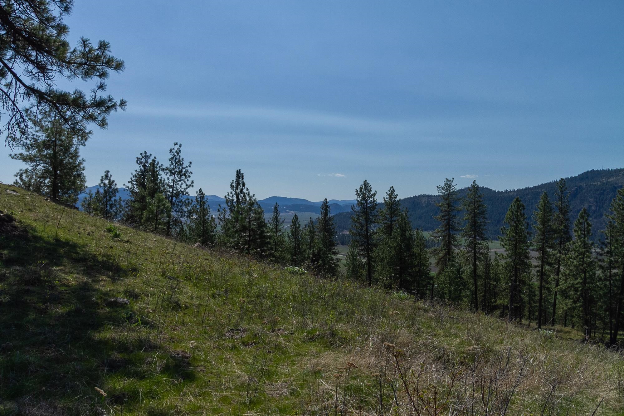 1622 Palmer Loop - Photo 10