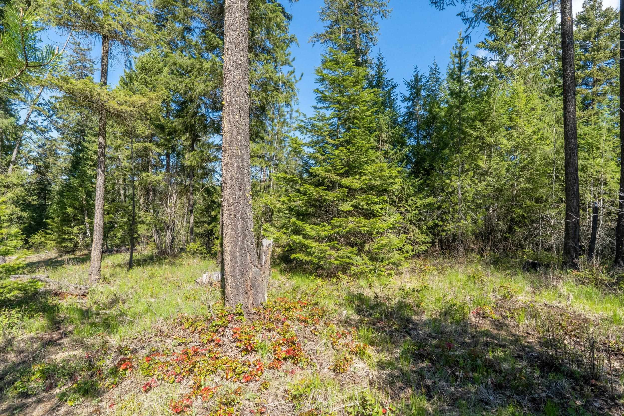 6xx Palmer Ln - Photo 4