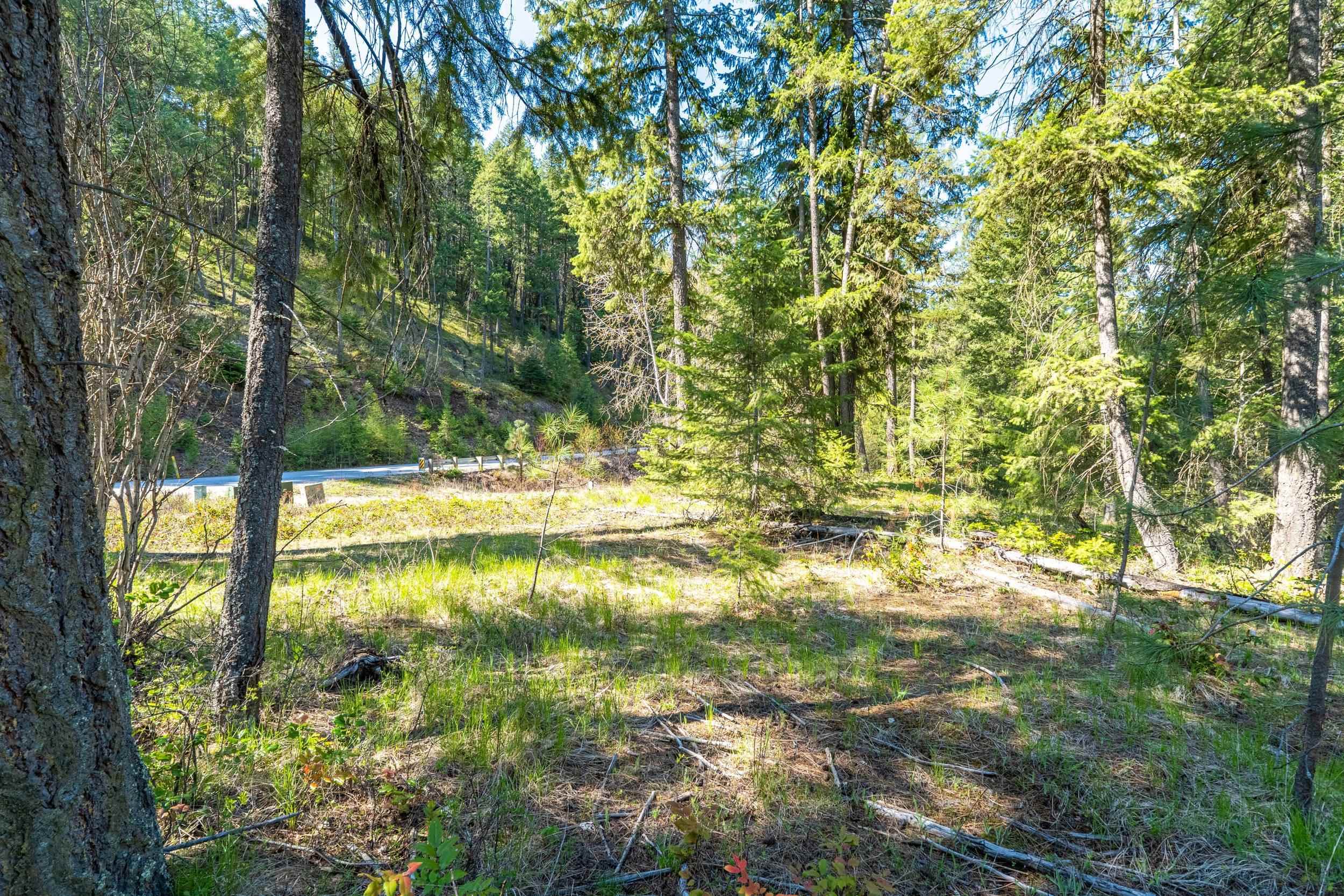 6xx Palmer Ln - Photo 5