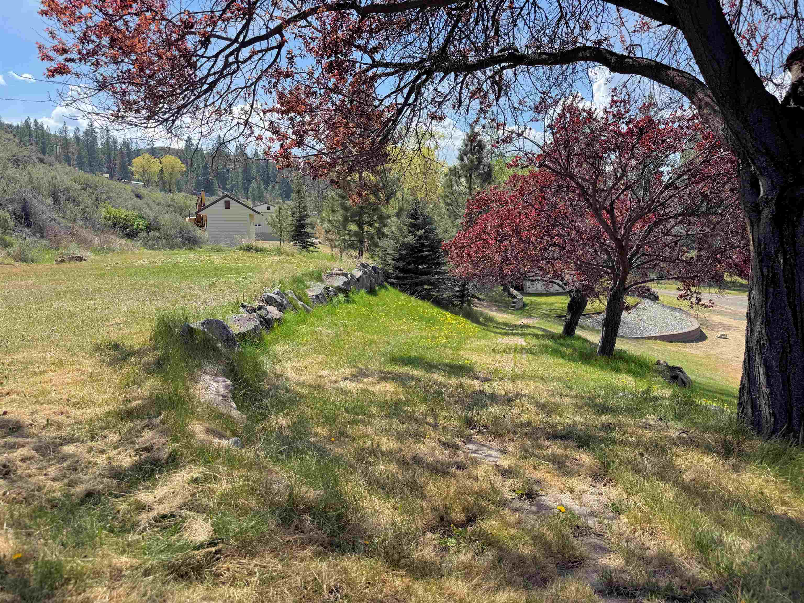 31884 E Phillips Ln - Photo 21