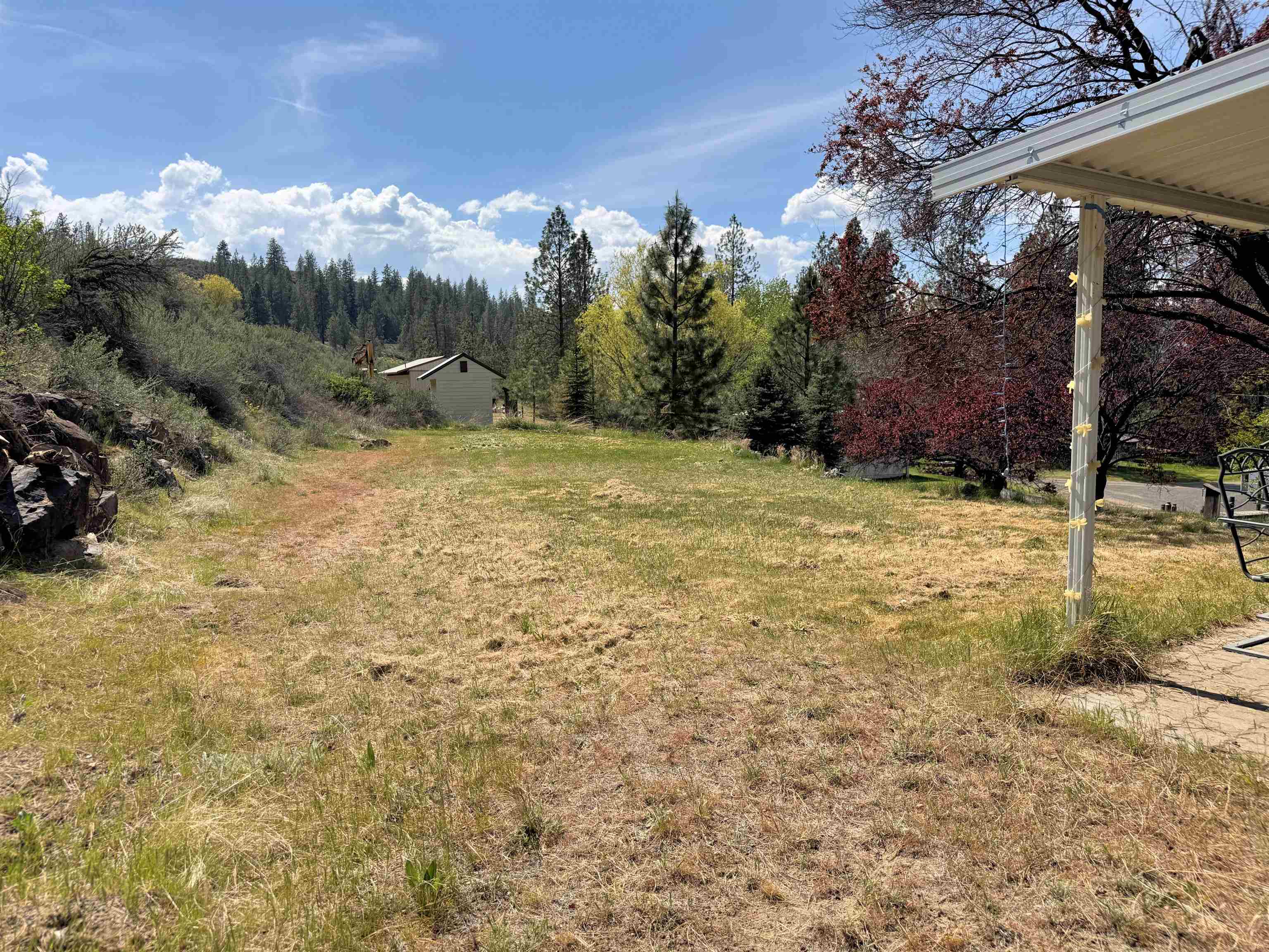 31884 E Phillips Ln - Photo 5