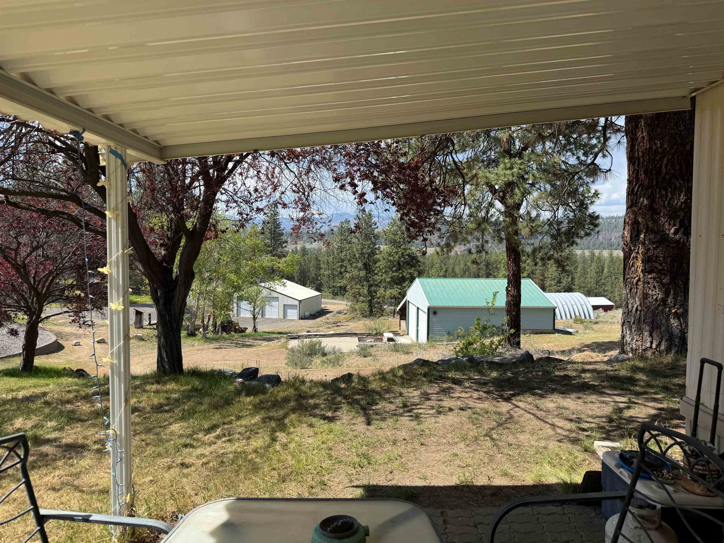 31884 E Phillips Ln - Photo 6