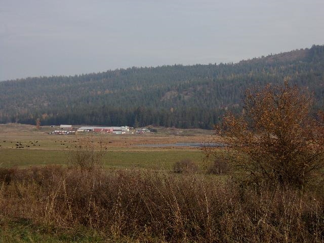 TBD Long Prairie Rd - Photo 12