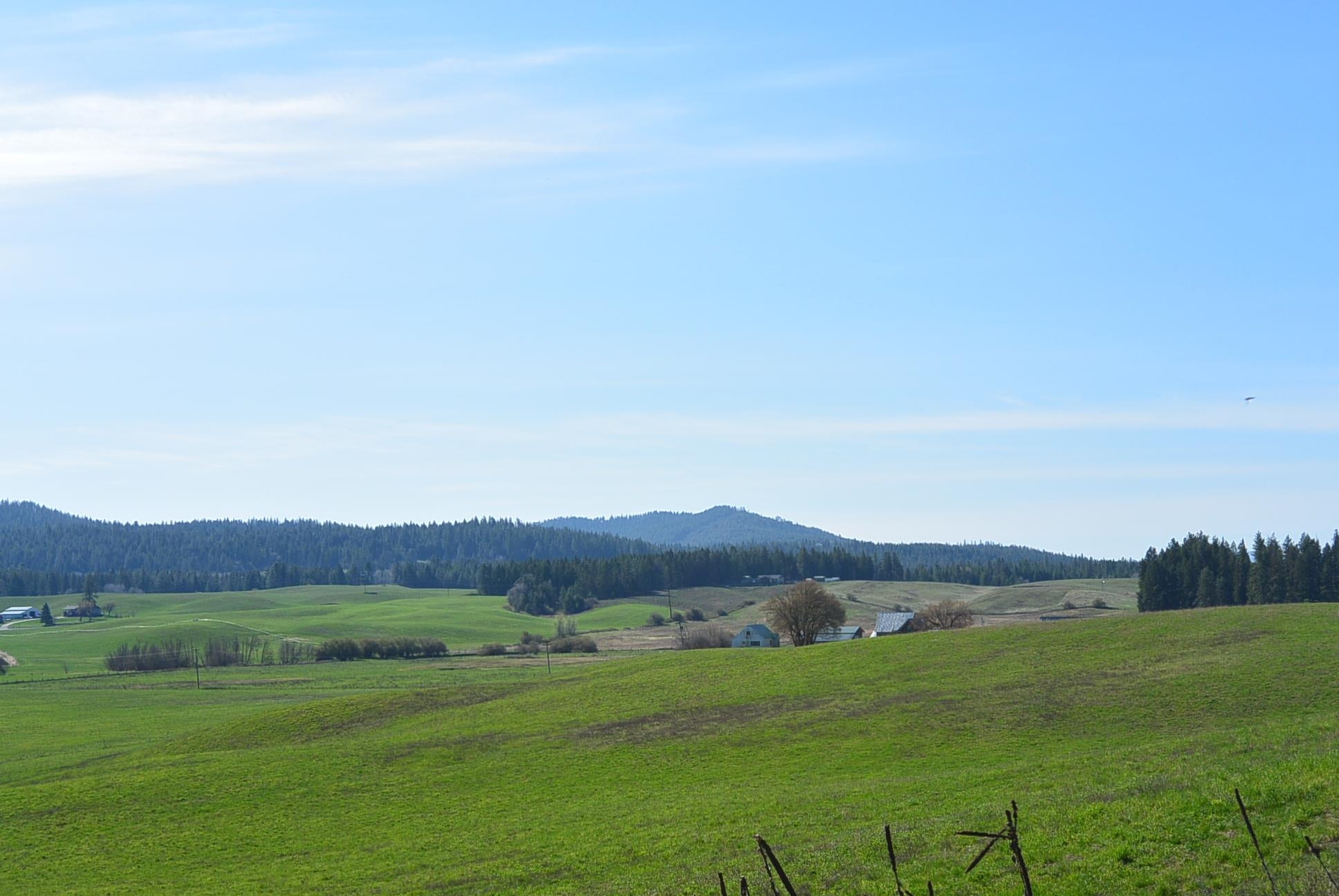 TBD Long Prairie Rd - Photo 3