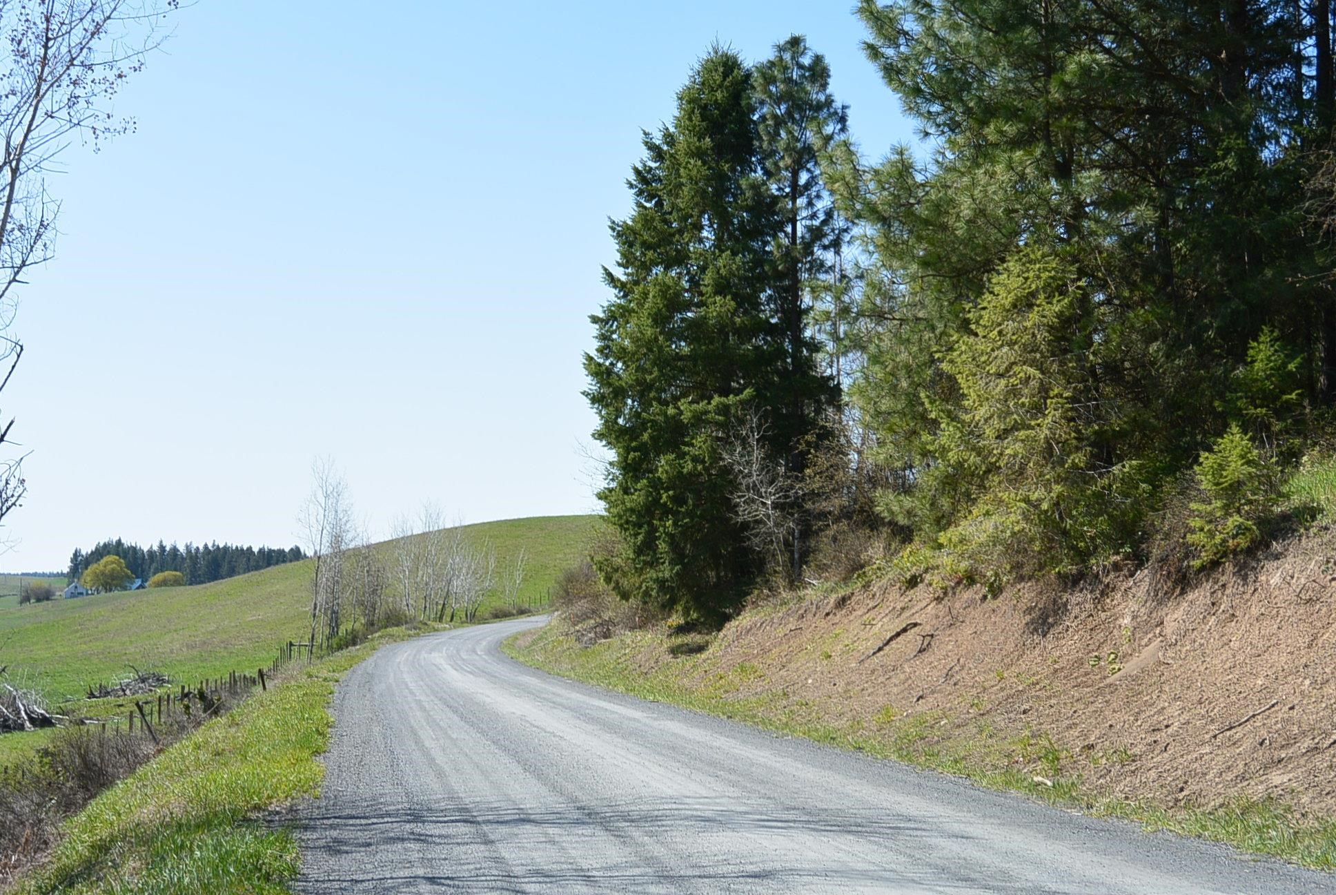 TBD Long Prairie Rd - Photo 4