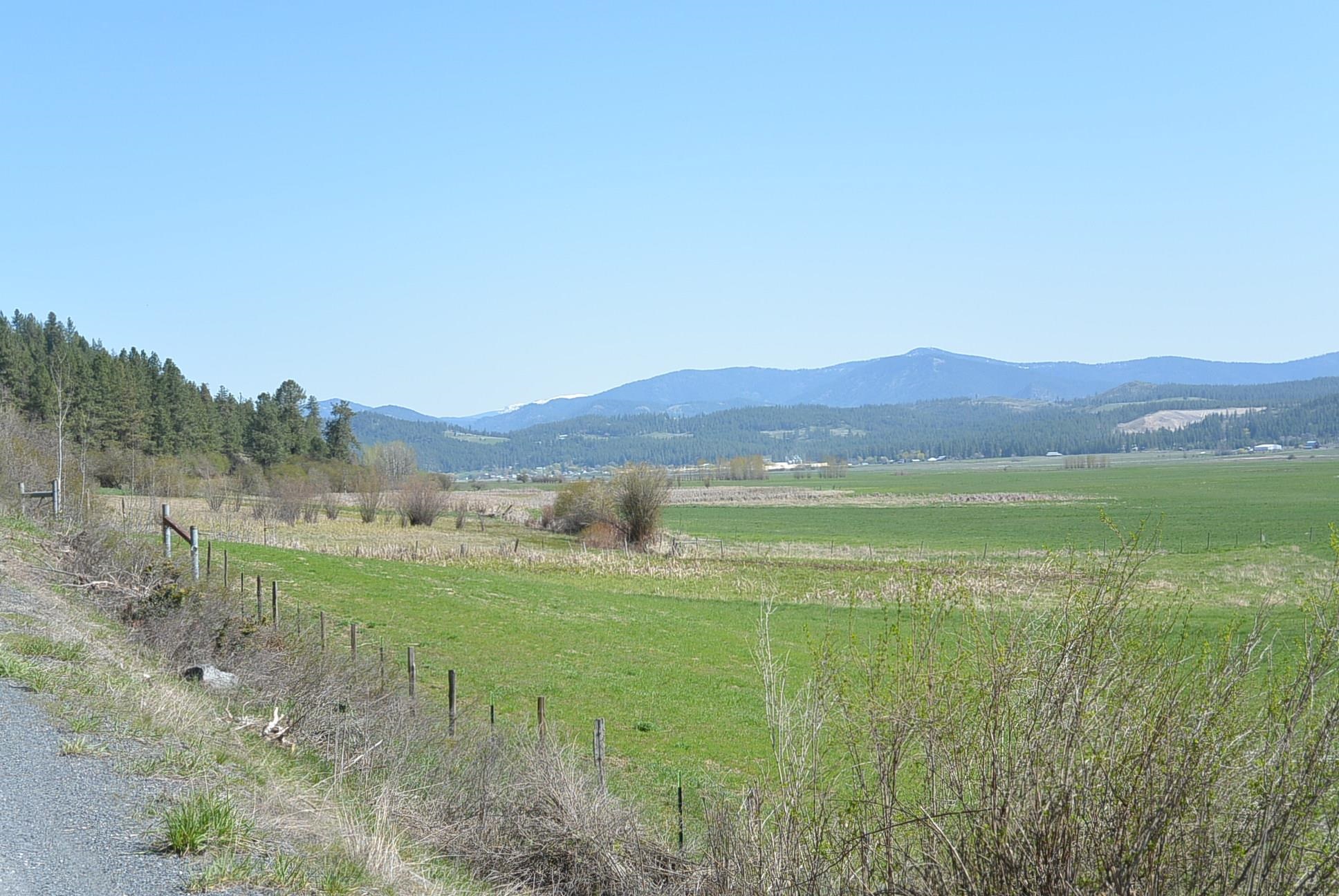 TBD Long Prairie Rd - Photo 6