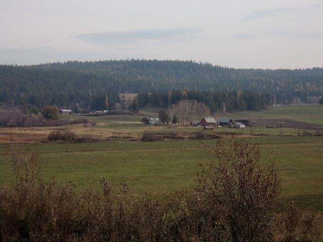 TBD Long Prairie Rd - Photo 7