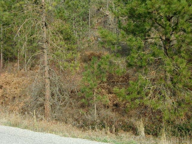 TBD Long Prairie Rd - Photo 8
