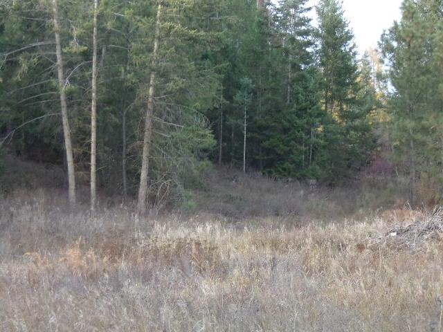 TBD Long Prairie Rd - Photo 10