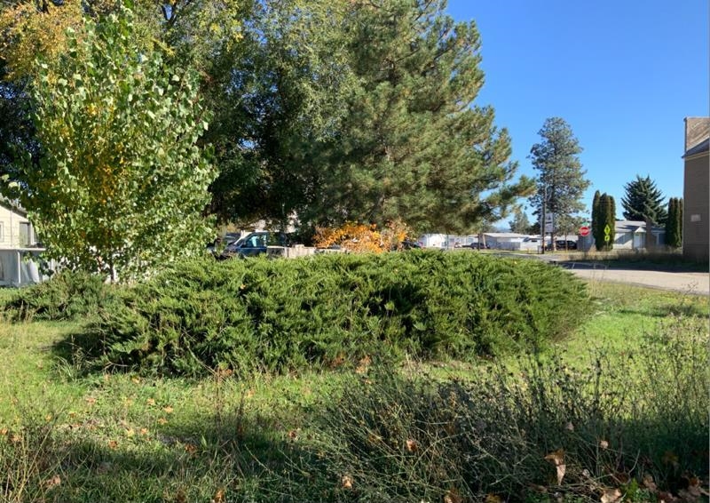 unassigned Main & 2nd St - Photo 1