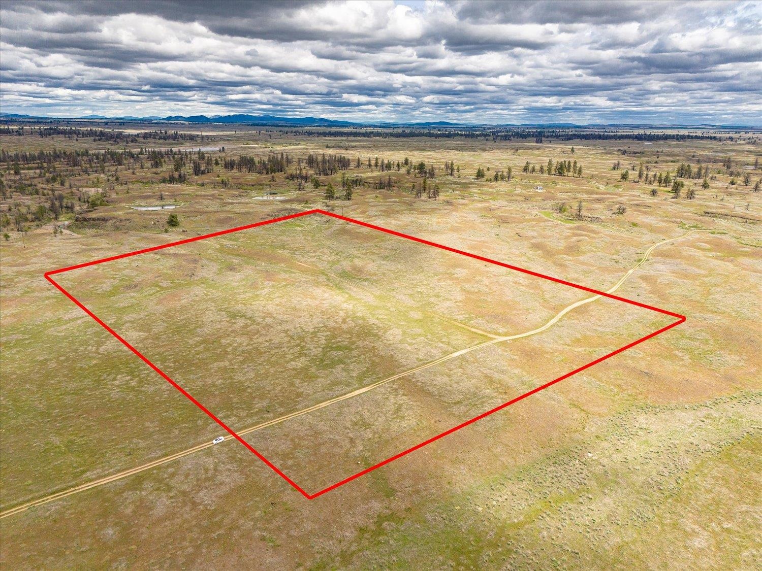 26405 Lone Pine E Rd - Photo 2