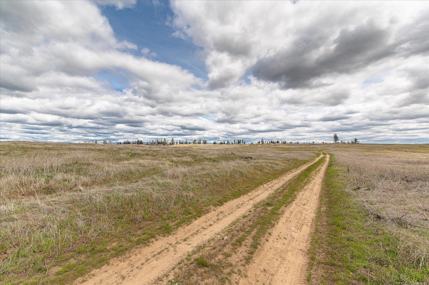 26405 Lone Pine E Rd - Photo 12