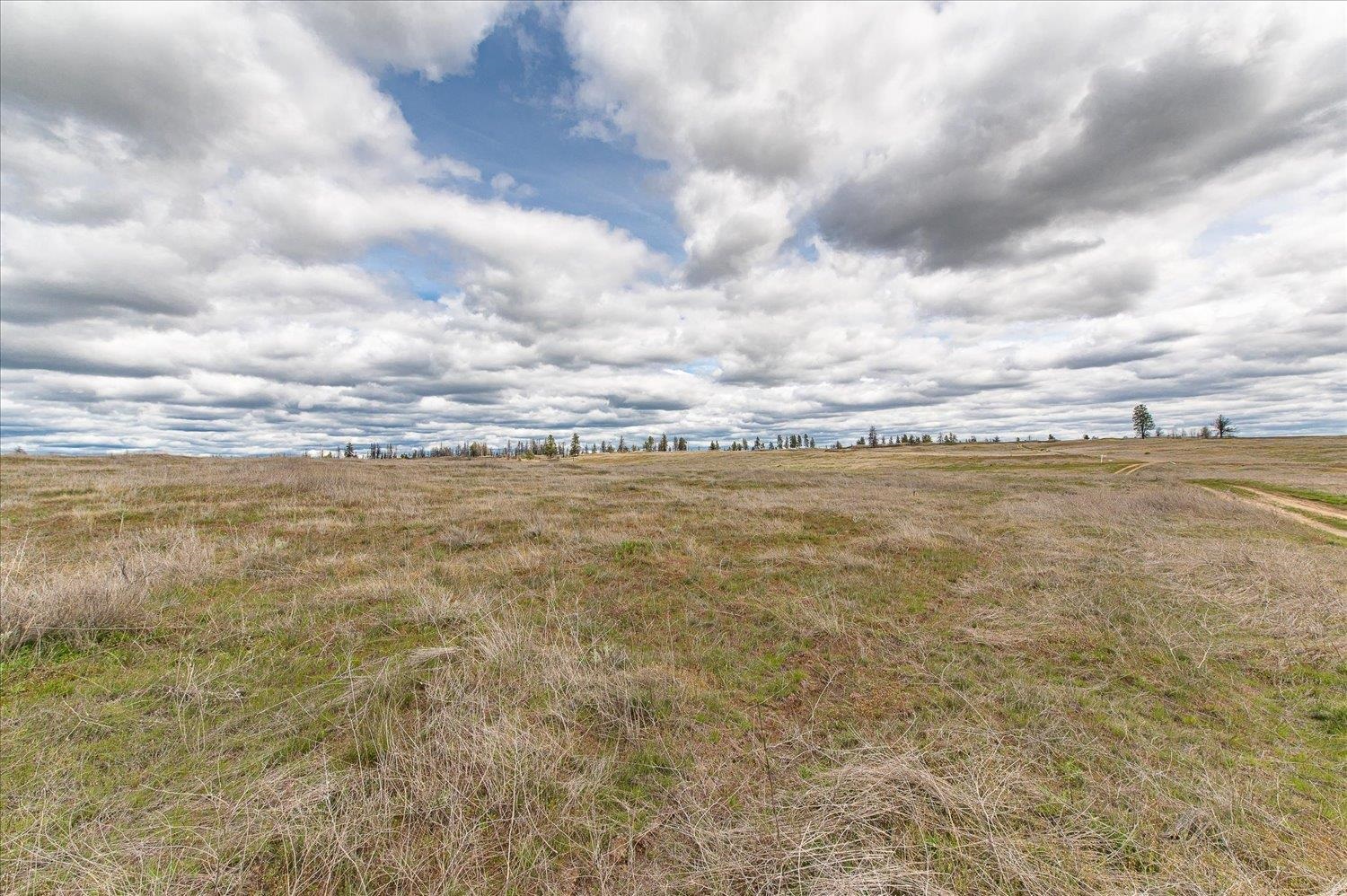 26405 Lone Pine E Rd - Photo 13