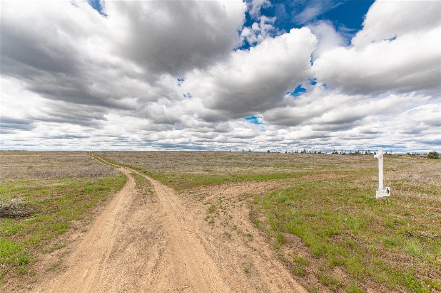 26405 Lone Pine E Rd - Photo 14