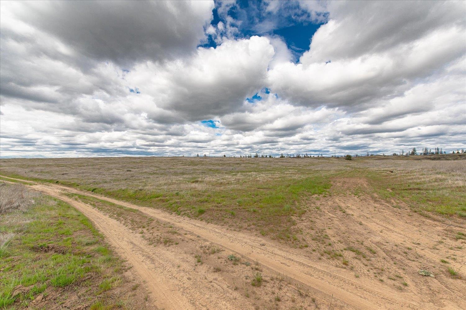 26405 Lone Pine E Rd - Photo 16