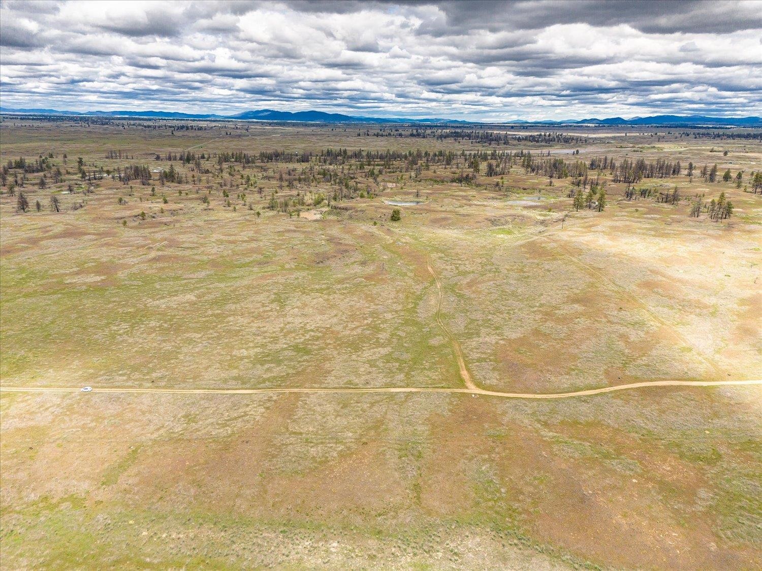 26405 Lone Pine E Rd - Photo 3