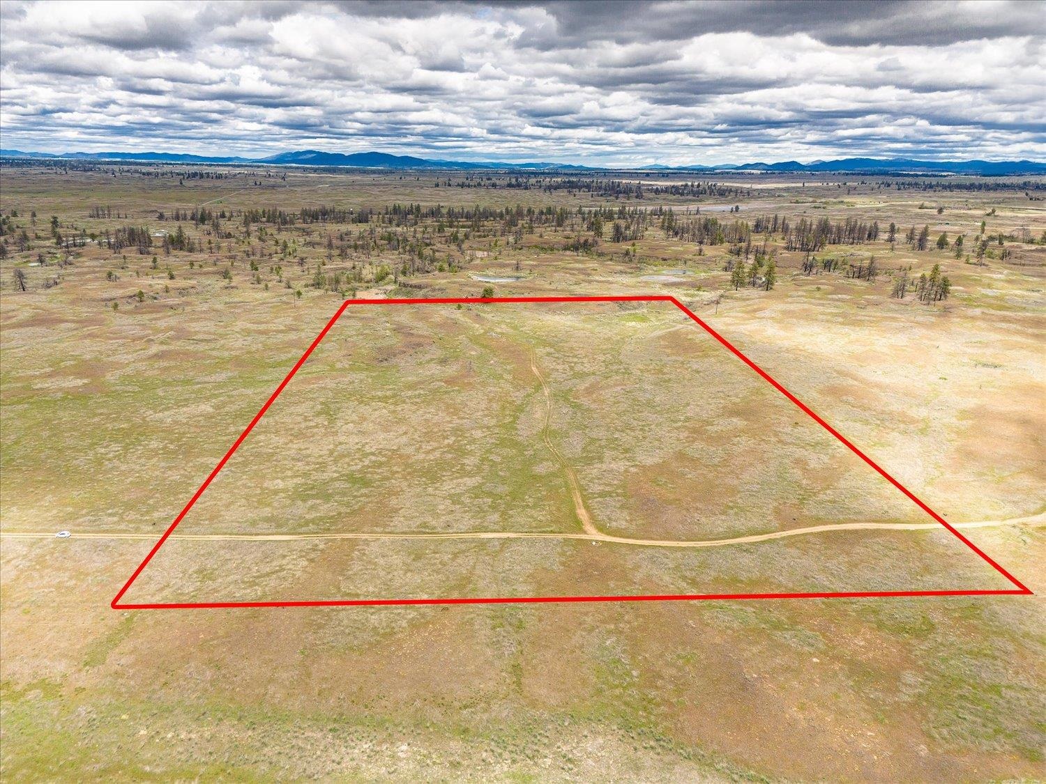 26405 Lone Pine E Rd - Photo 4