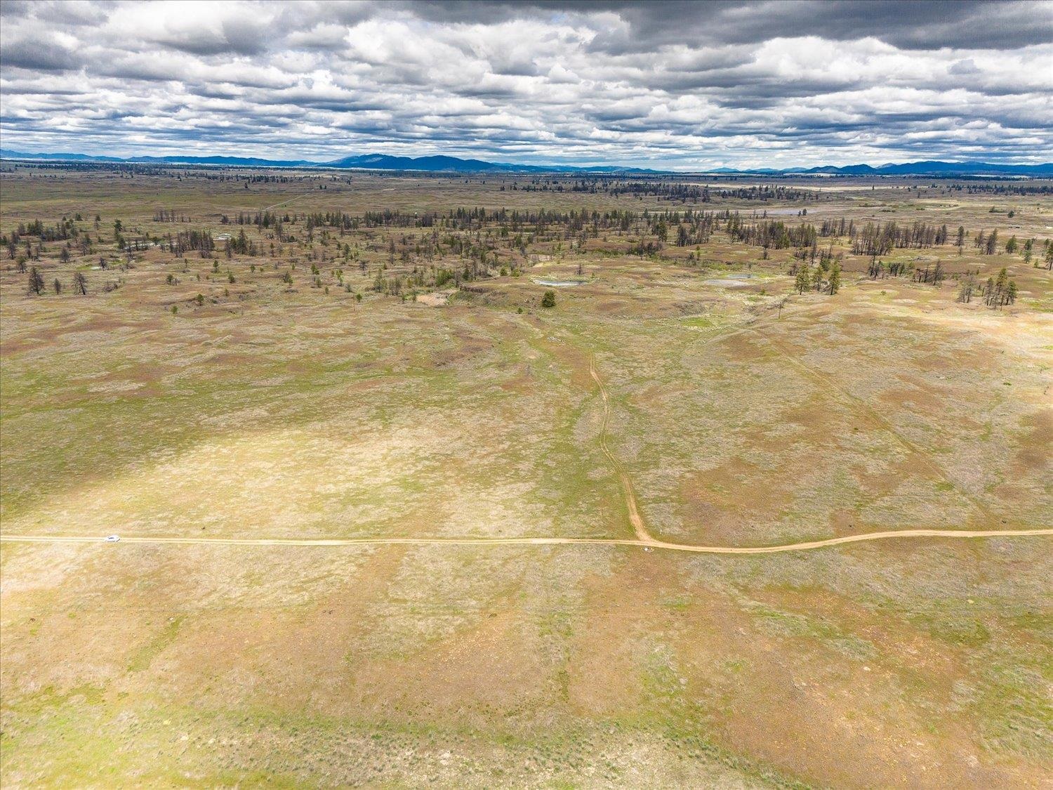 26405 Lone Pine E Rd - Photo 5