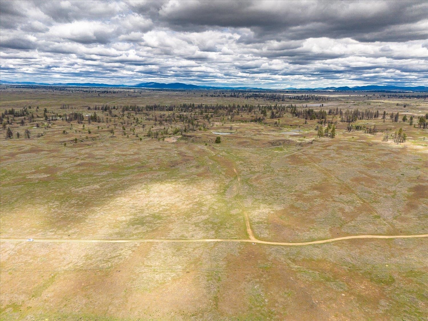 26405 Lone Pine E Rd - Photo 6
