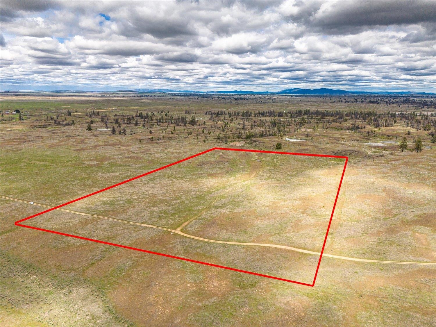 26405 Lone Pine E Rd - Photo 8