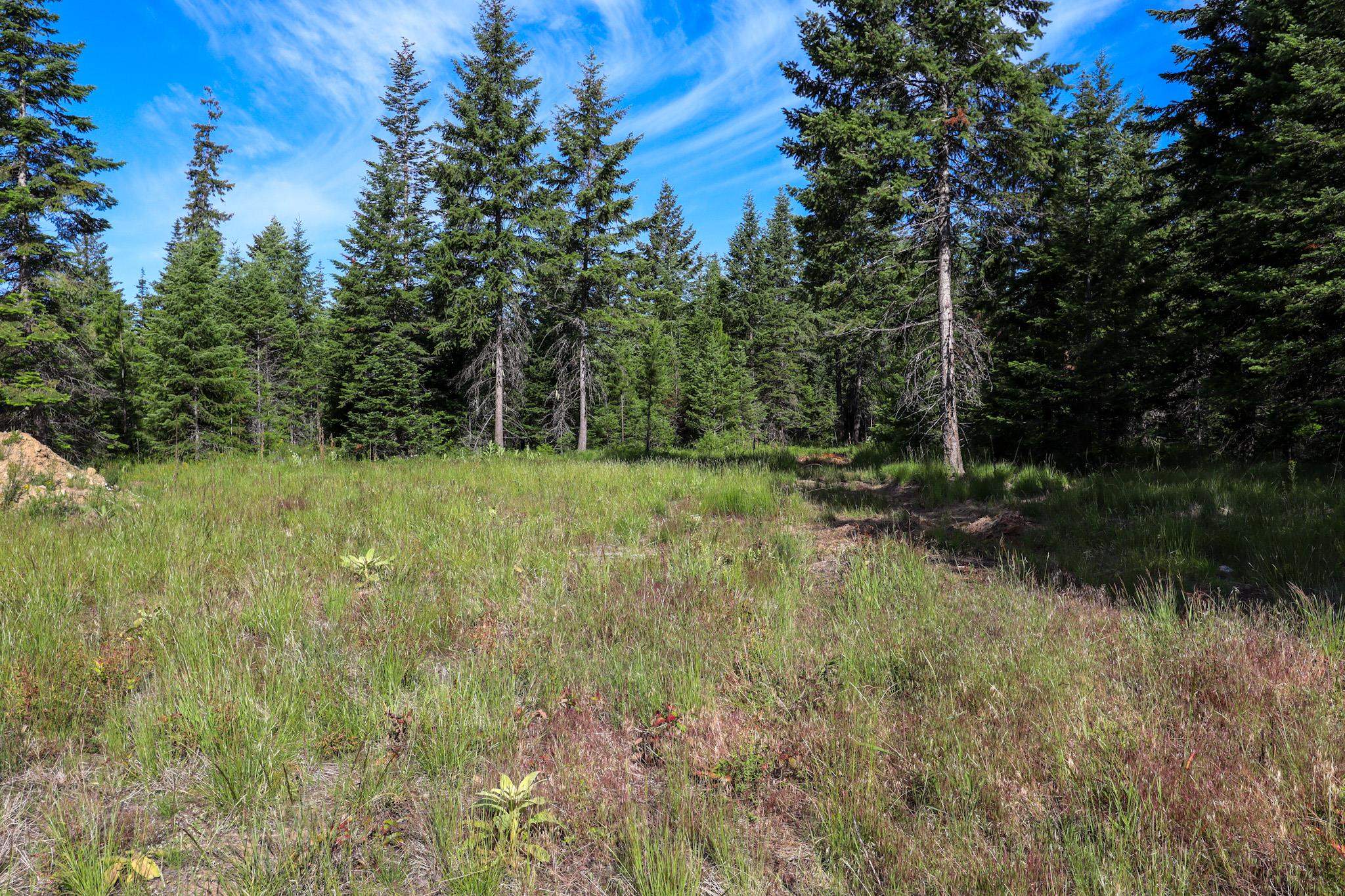 411 Happy Trails Ln - Photo 11