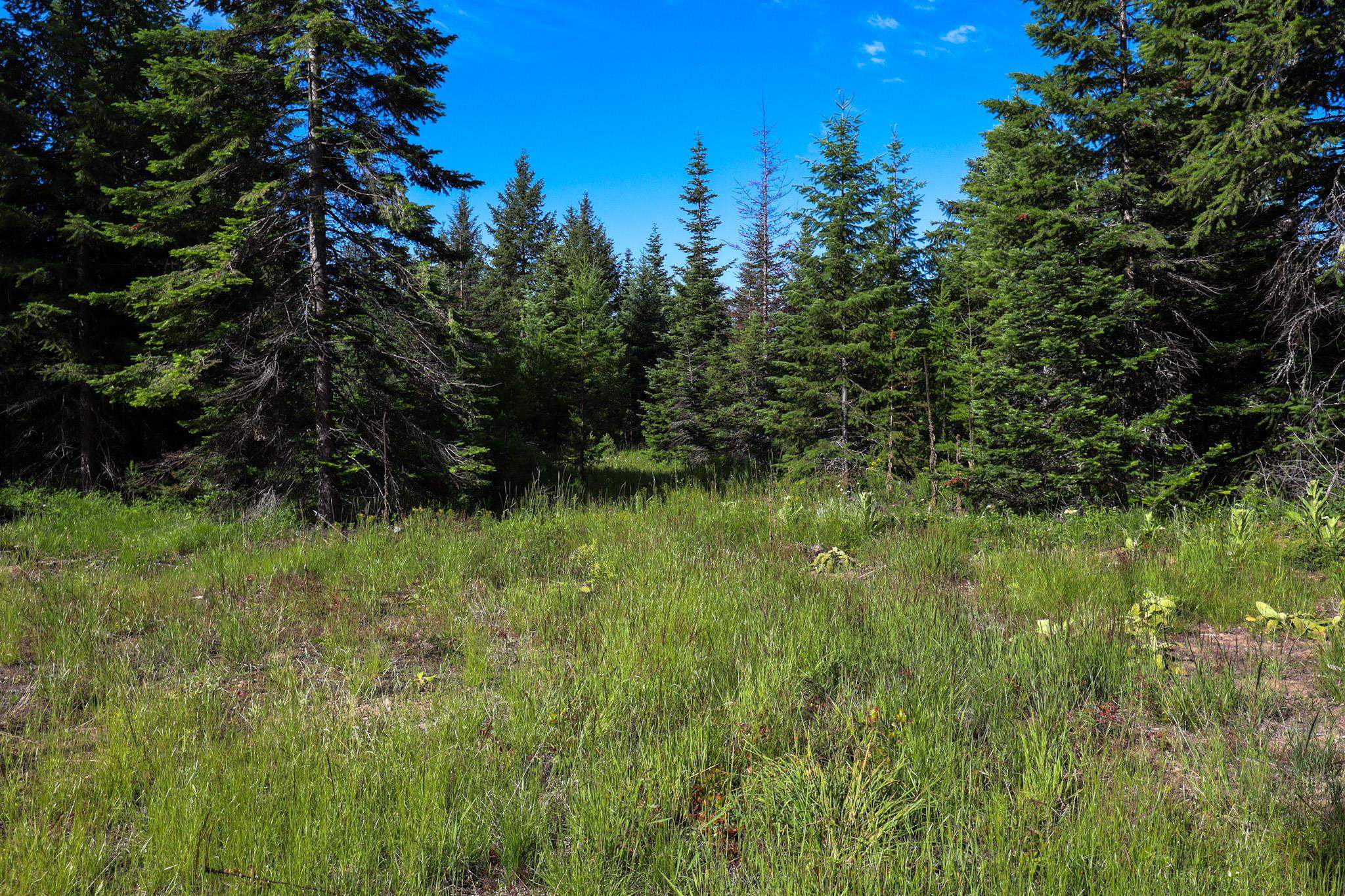 411 Happy Trails Ln - Photo 12