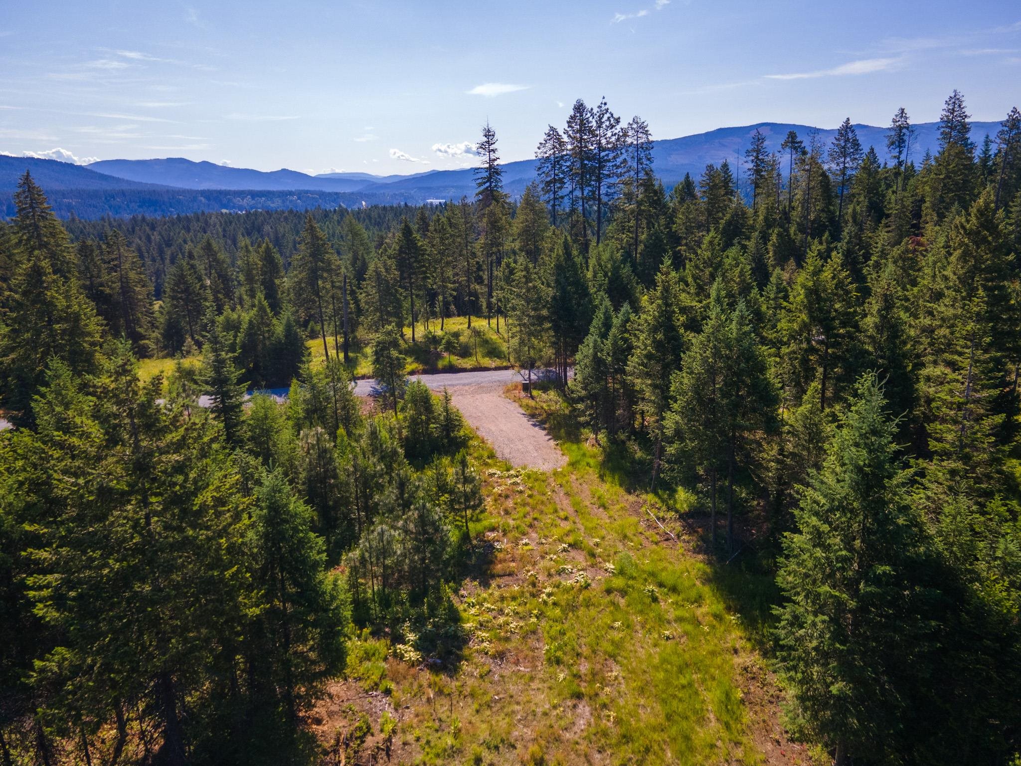 411 Happy Trails Ln - Photo 3
