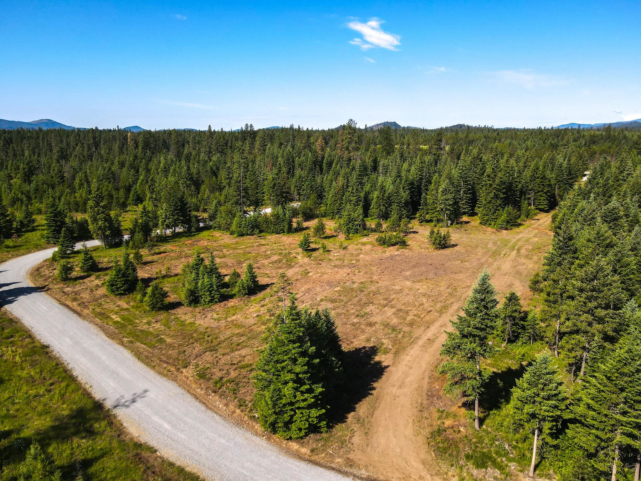 411 Happy Trails Ln - Photo 4