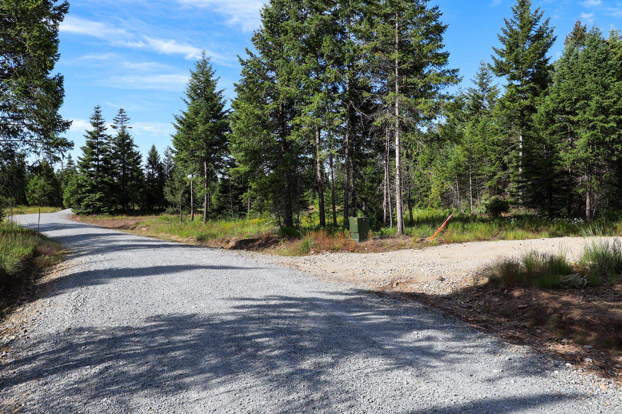 411 Happy Trails Ln - Photo 8