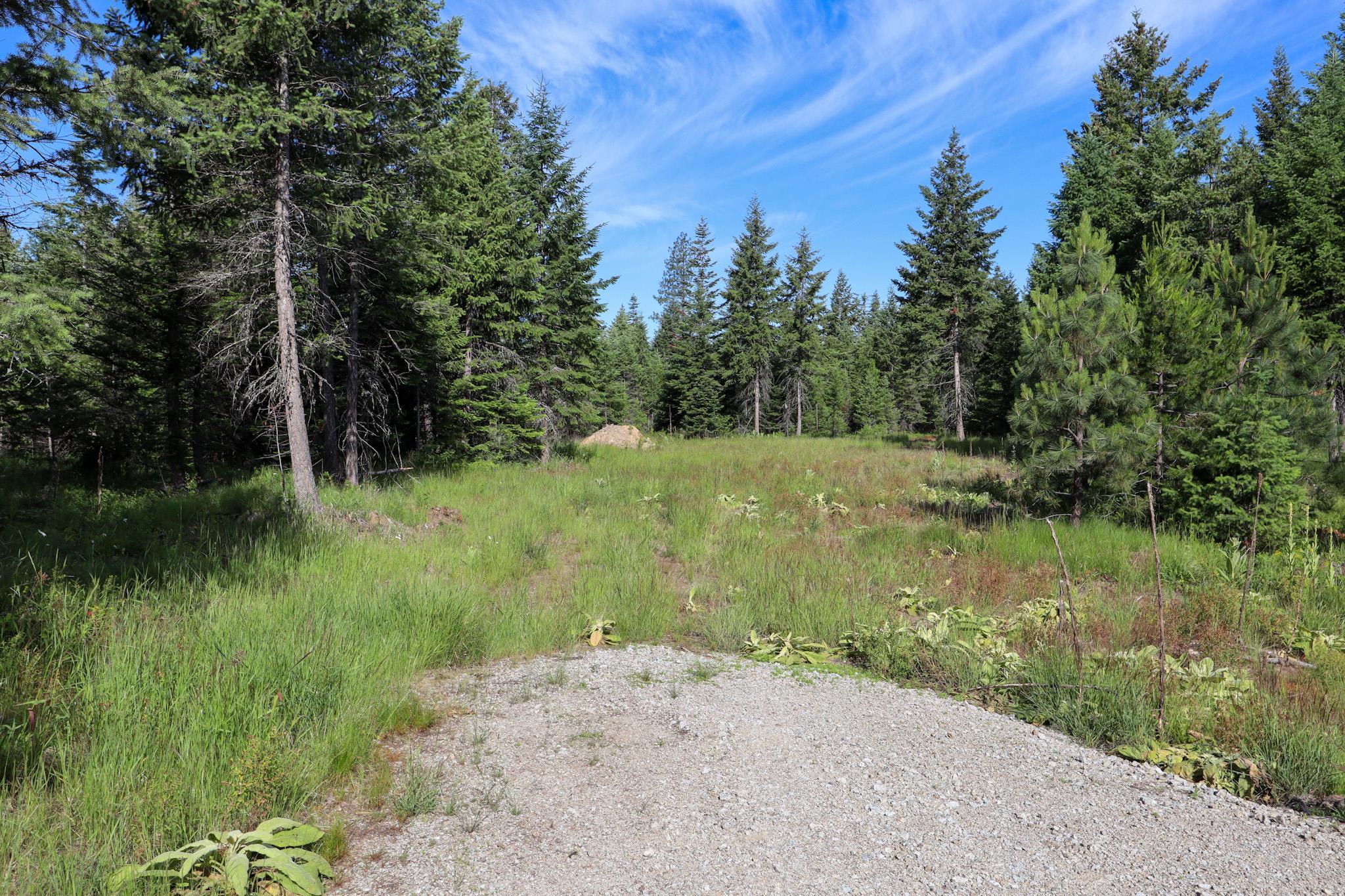 411 Happy Trails Ln - Photo 9