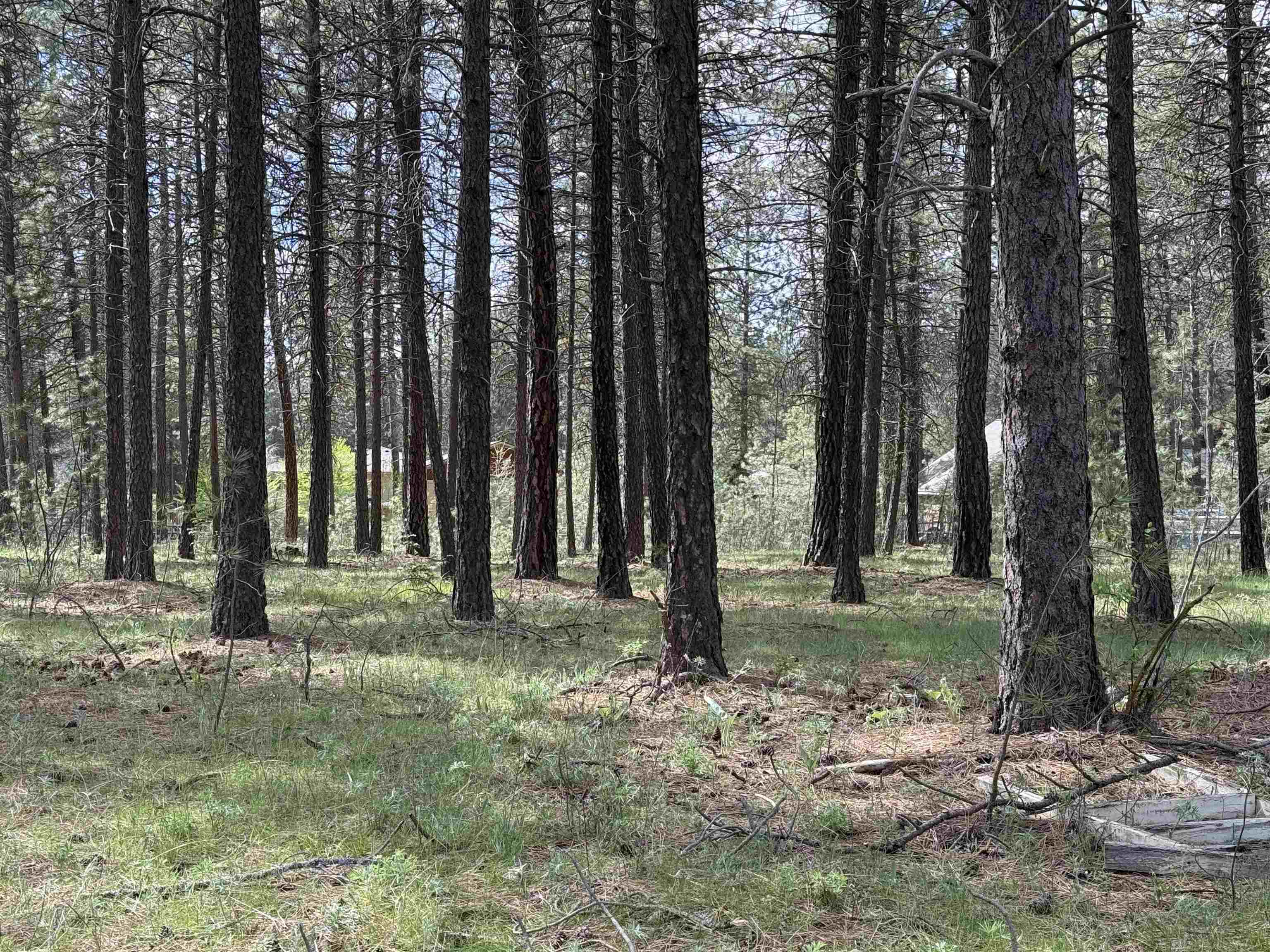 177XX N Saddle Hill Rd - Photo 6