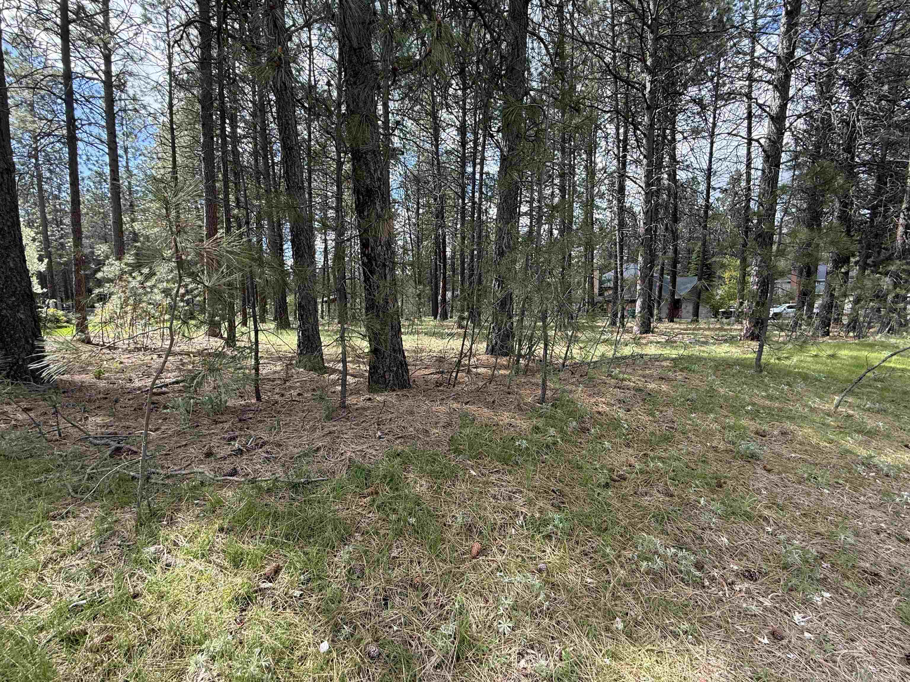 177XX N Saddle Hill Rd - Photo 7