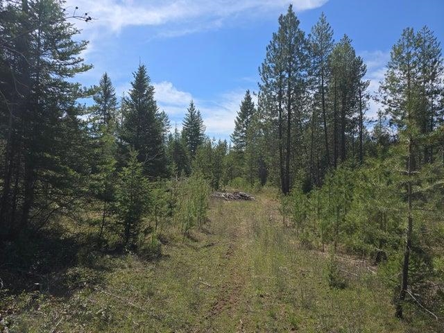 XXX W Oregon Rd - Photo 2