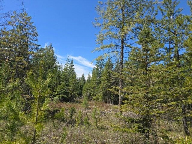 XXX W Oregon Rd - Photo 3
