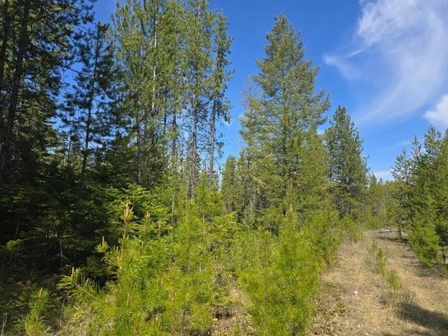 XXX W Oregon Rd - Photo 5