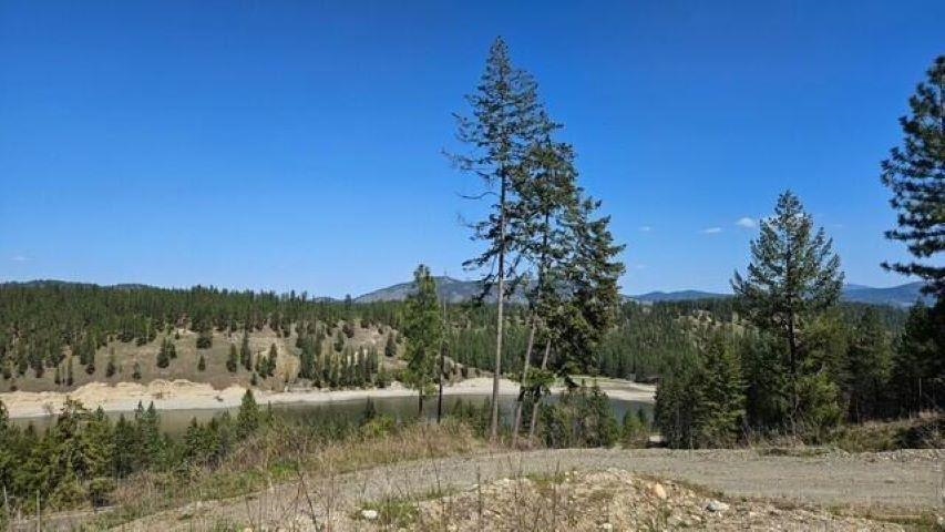 1381 #A Hwy 25 S Hwy - Photo 13