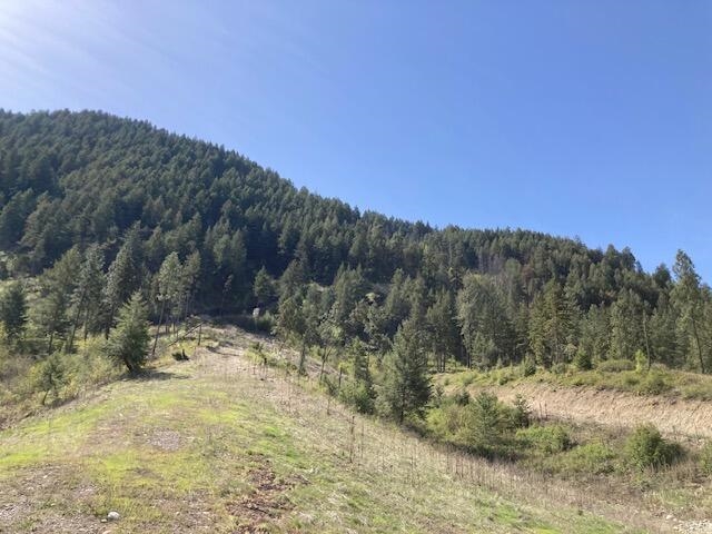1381 #A Hwy 25 S Hwy - Photo 16