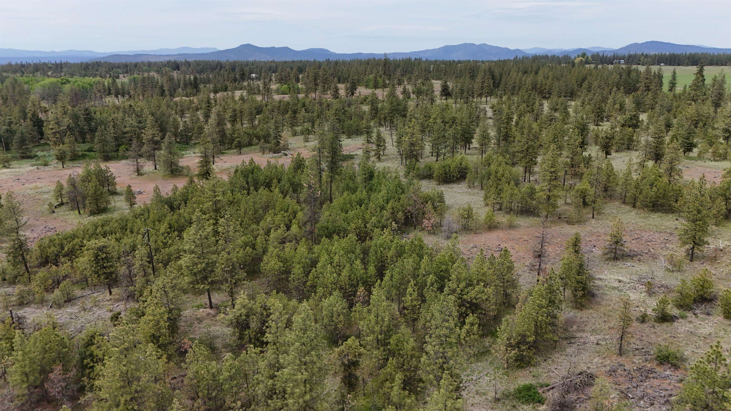 xxxx W Vacant Land Rd - Photo 11