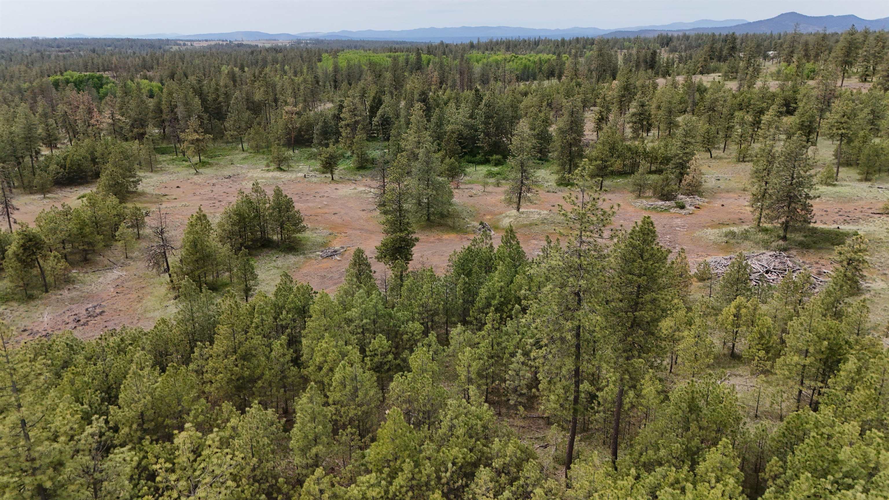 xxxx W Vacant Land Rd - Photo 12