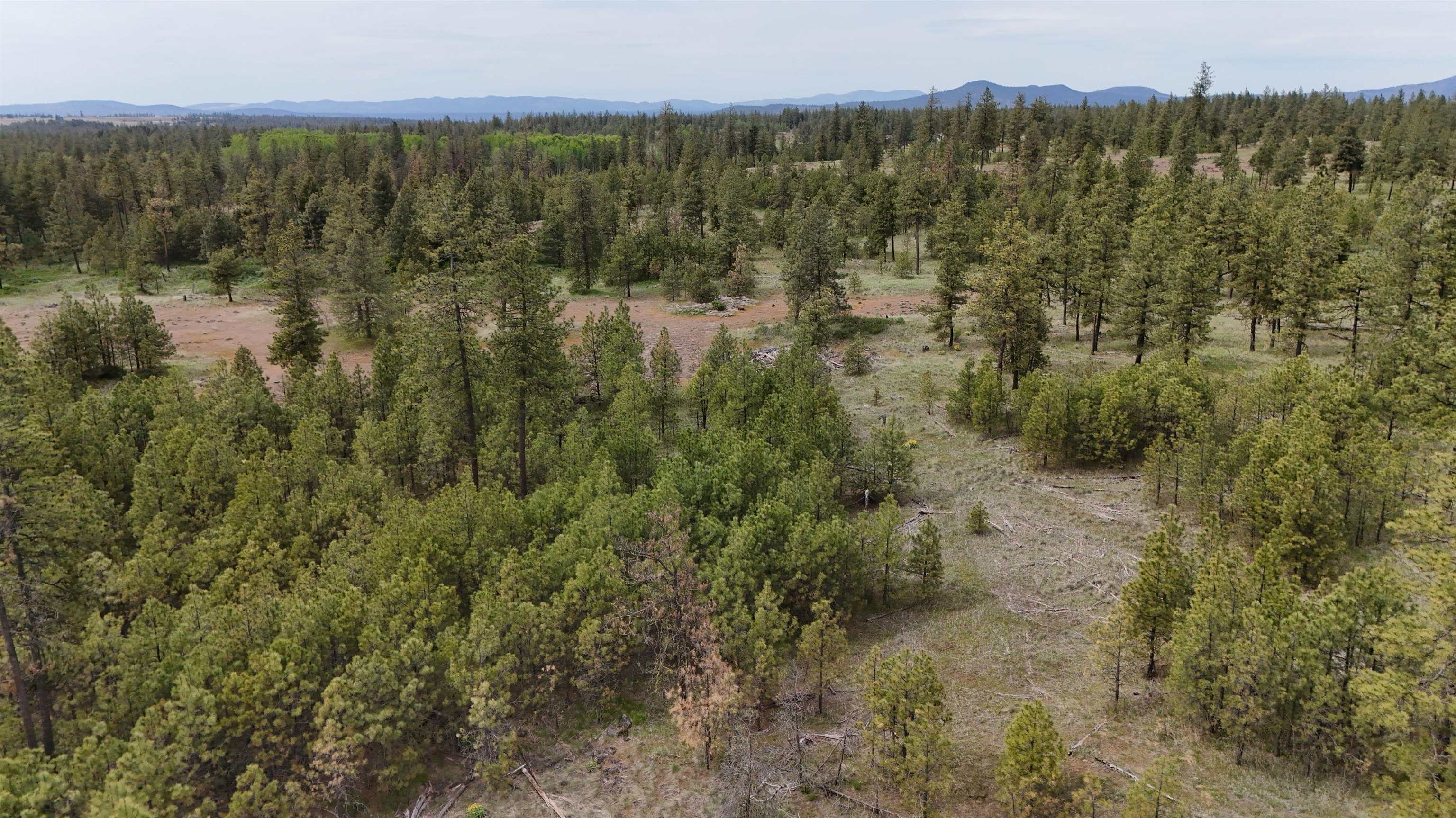 xxxx W Vacant Land Rd - Photo 13