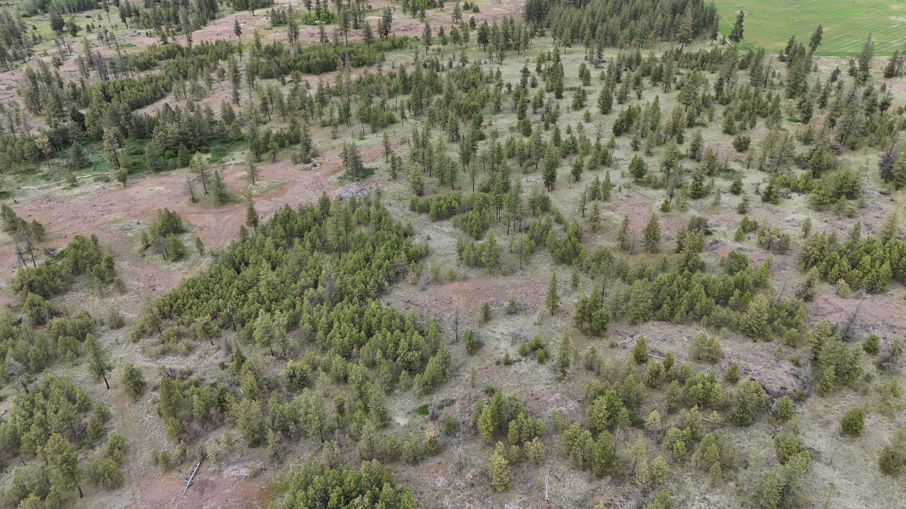 xxxx W Vacant Land Rd - Photo 6